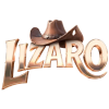 Lizaro Slovenija